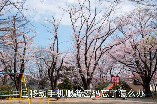 中國移動服務密碼忘了怎么辦，移動手機服務密碼是什么忘記密碼怎么辦