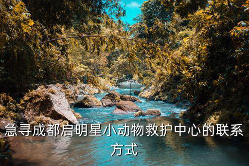急尋成都啟明星小動物救護中心的聯系方式