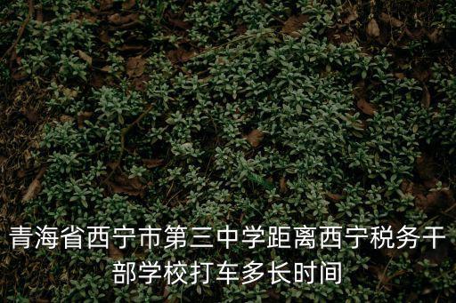 青海省西寧市第三中學距離西寧稅務干部學校打車多長時間