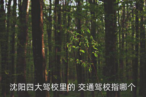 沈陽交通駕校，沈陽交通駕校怎么樣