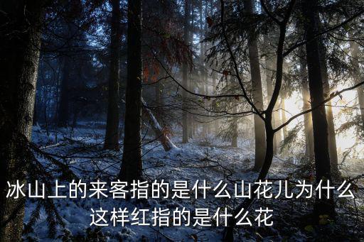 冰山上的來客指的是什么山花兒為什么這樣紅指的是什么花