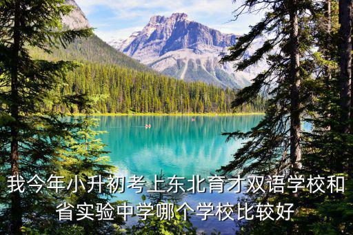 東北育才雙語學校，東北育才雙語學校是私立學校嗎