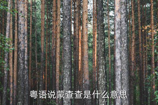 粵語說蒙查查是什么意思