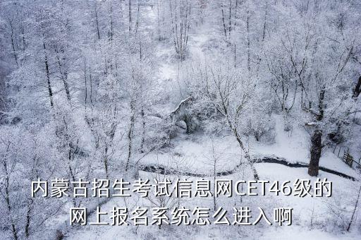 內蒙古招生考試信息網CET46級的網上報名系統怎么進入啊