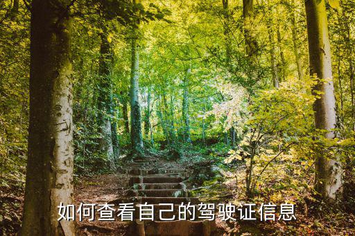 查詢駕駛證，網上能查駕駛證嗎