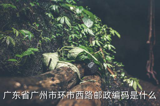 廣東省廣州市環市西路郵政編碼是什么