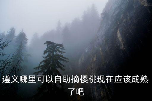 遵義櫻花谷，遵義哪里可以自助摘櫻桃現在應該成熟了吧