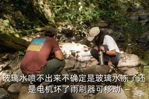 玻璃水噴不出來不確定是玻璃水凍了還是電機壞了雨刷器可移動