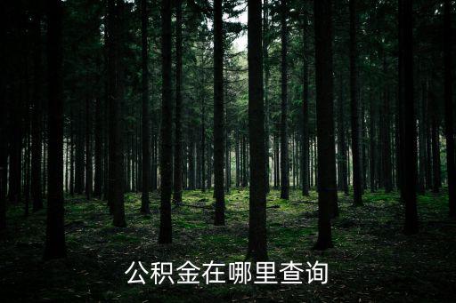 公積金在哪里查詢，公積金在哪里查詢