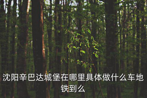 辛巴達(dá)歡樂(lè)城堡，沈陽(yáng)辛巴達(dá)歡樂(lè)城堡咋樣 對(duì)于20歲的人來(lái)說(shuō)  帶對(duì)象  去哪有意