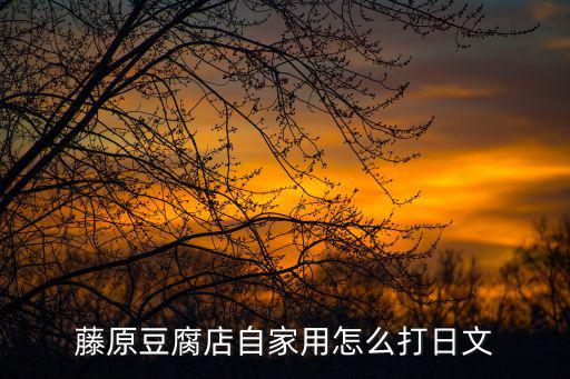 藤原豆腐店自家用怎么打日文