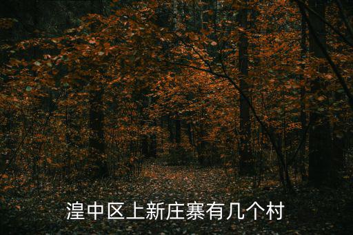 湟中區(qū)上新莊寨有幾個村