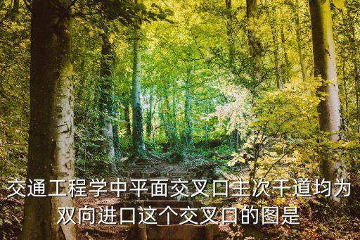 交通工程學中平面交叉口主次干道均為雙向進口這個交叉口的圖是