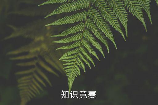 知識競賽