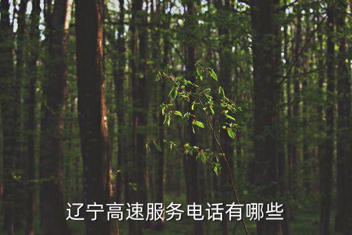 遼寧高速服務電話有哪些