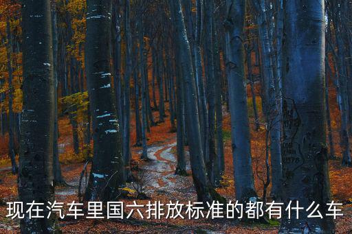 現在汽車里國六排放標準的都有什么車