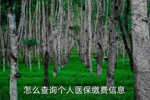 怎么查詢個(gè)人醫(yī)保繳費(fèi)信息