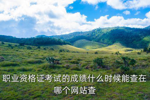 職業資格證考試的成績什么時候能查在哪個網站查