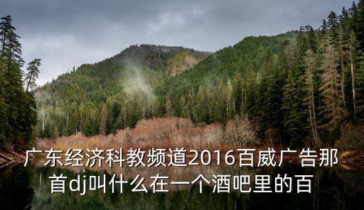 廣東經(jīng)濟(jì)科教，廣東經(jīng)濟(jì)科教頻道2016百威廣告那首dj叫什么在一個(gè)酒吧里的百