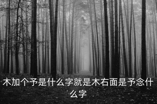 一個木一個予，木加個予是什么字就是木右面是予念什么字