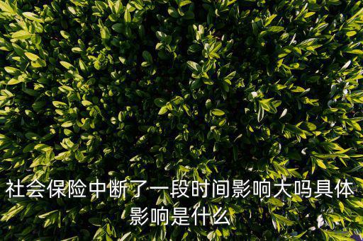 社會保險中斷了一段時間影響大嗎具體影響是什么