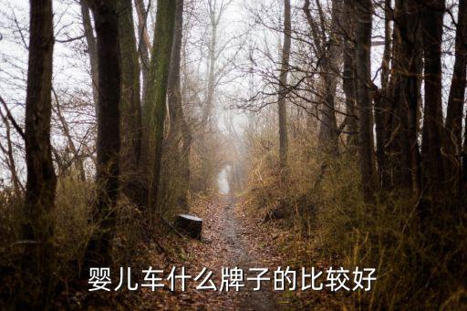 嬰兒車哪個好，嬰兒車哪個牌子的好