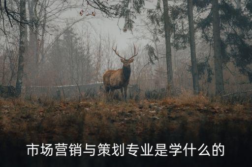 市場營銷與策劃專業是學什么的