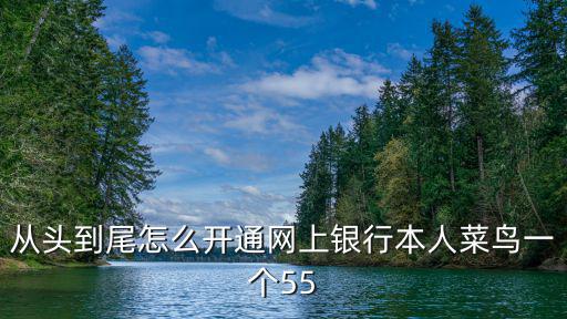 從頭到尾怎么開通網上銀行本人菜鳥一個55