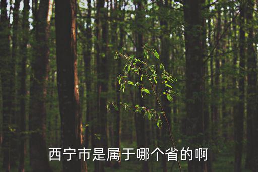 青海西寧在哪里，西寧市是屬于哪個(gè)省的啊