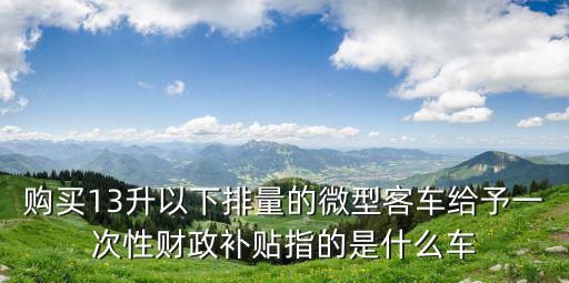 購買13升以下排量的微型客車給予一次性財政補貼指的是什么車