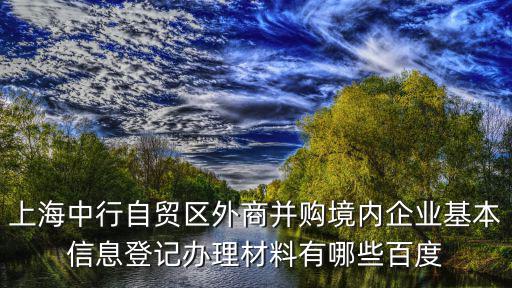 上海中行自貿(mào)區(qū)外商并購(gòu)境內(nèi)企業(yè)基本信息登記辦理材料有哪些百度