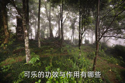 可樂的功效與作用有哪些