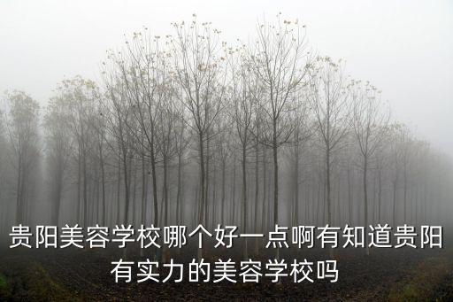 貴陽美容學校哪個好一點啊有知道貴陽有實力的美容學校嗎