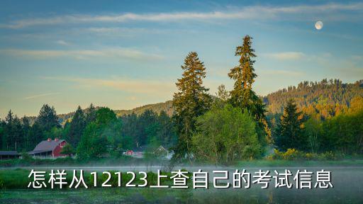 如何查，怎樣從12123上查自己的考試信息