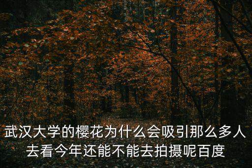 武漢大學的櫻花為什么會吸引那么多人去看今年還能不能去拍攝呢百度