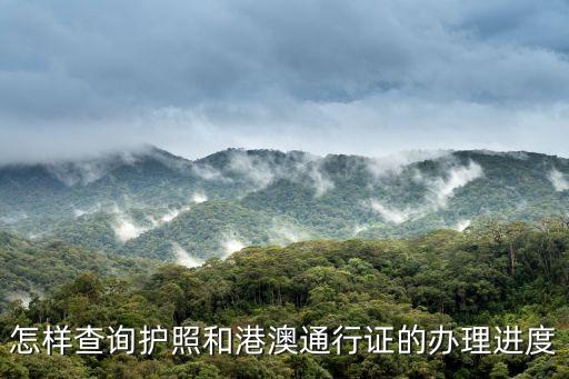 護照辦理進度查詢，問請問哪里可以查詢護照辦理進度入口在哪里