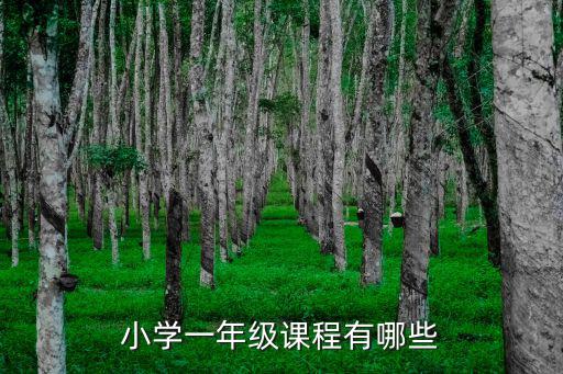 小學一年級課程有哪些