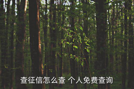 查征信怎么查 個人免費查詢