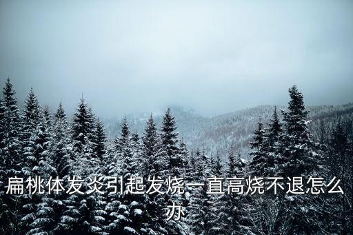 扁桃體發(fā)炎引起發(fā)燒一直高燒不退怎么辦