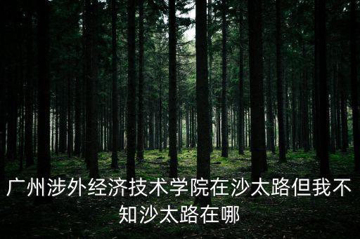廣州涉外經(jīng)濟(jì)技術(shù)學(xué)院在沙太路但我不知沙太路在哪