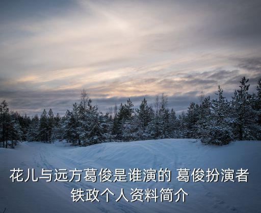 花兒與遠(yuǎn)方葛俊是誰演的 葛俊扮演者鐵政個(gè)人資料簡介