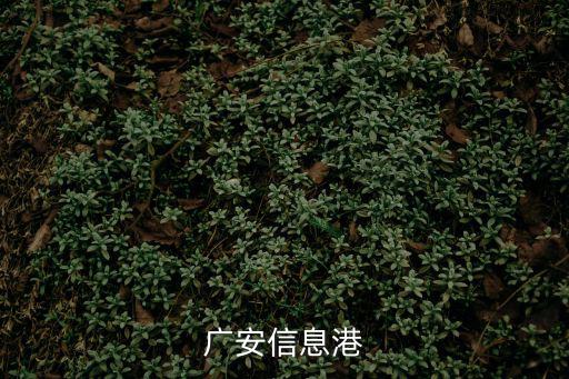 廣安信息港