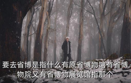 要去省博是指什么有原省博物館有省博物院又有省博物展覽館指那個