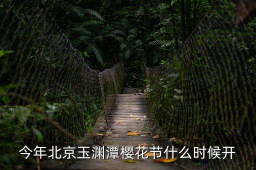 今年北京玉淵潭櫻花節什么時候開