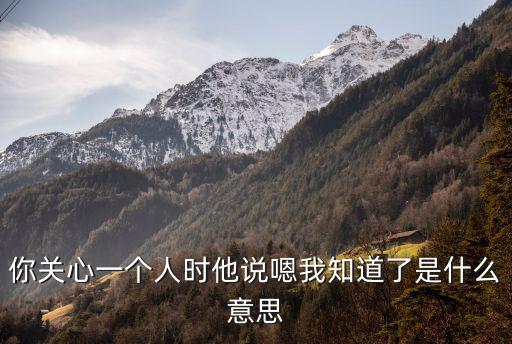 你關心一個人時他說嗯我知道了是什么意思