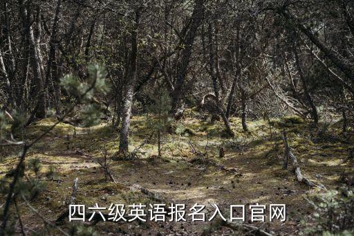 四六級(jí)英語報(bào)名入口官網(wǎng)