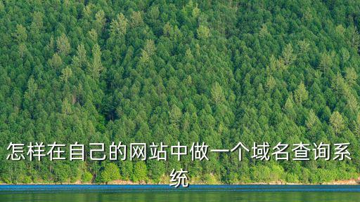怎樣在自己的網站中做一個域名查詢系統