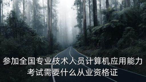 參加全國專業技術人員計算機應用能力考試需要什么從業資格證