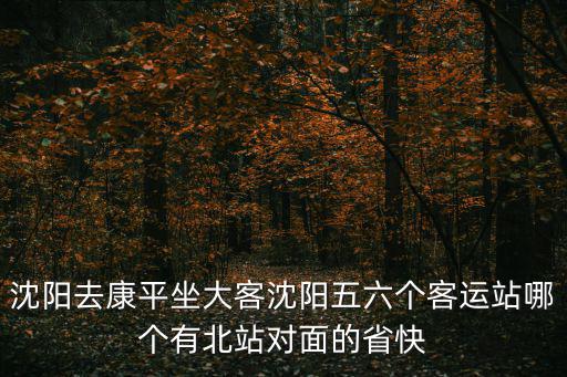 沈陽到康平，沈陽去康平坐大客沈陽五六個客運站哪個有北站對面的省快