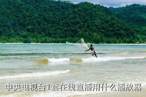 cetv1在線直播觀看，體育評(píng)書什么時(shí)候播出
